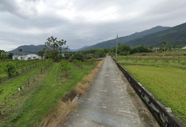 鑽石台東房地產