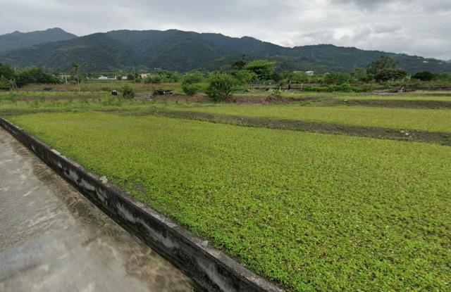 鑽石台東低總價農地
