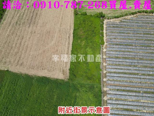 新市農地-12