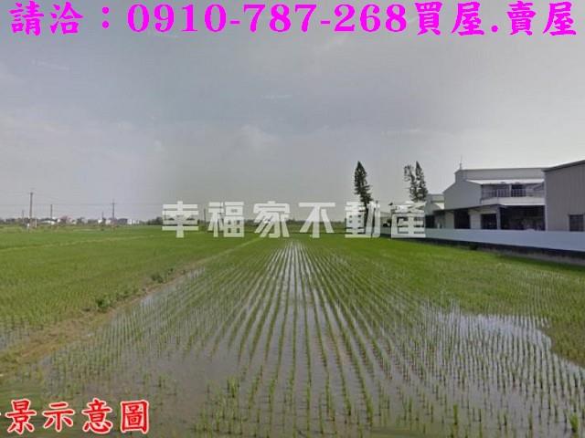 台南柳營農地-2