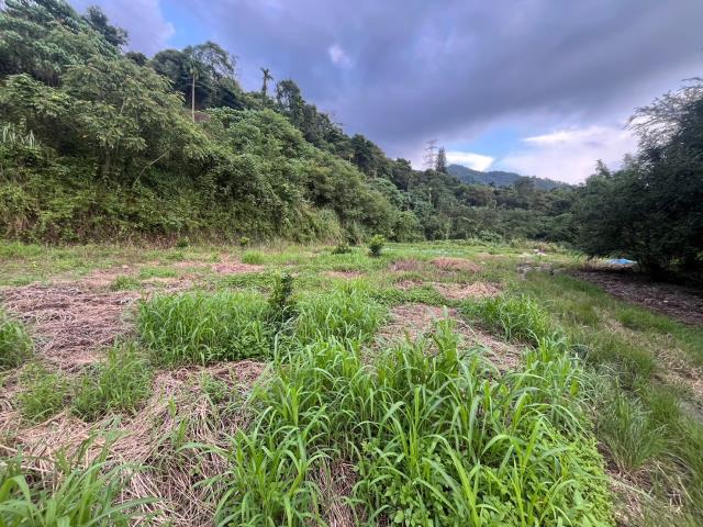 南投山坡地-14
