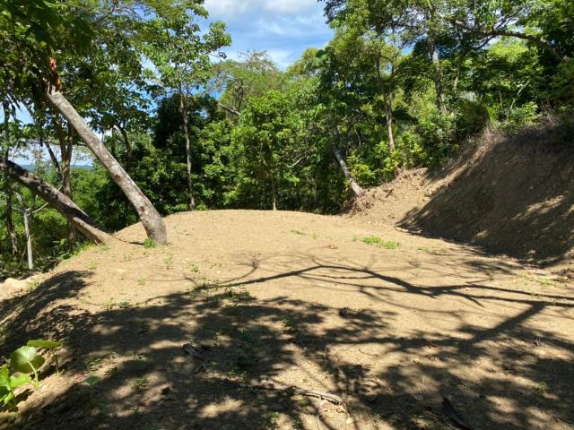 台中太平山坡地-9