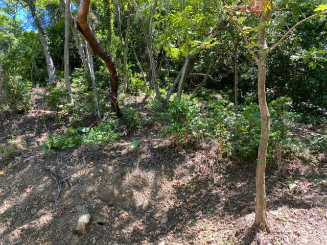 台中太平山坡地-8