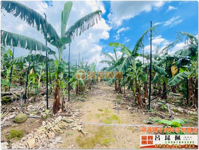 嘉義番路農地-4