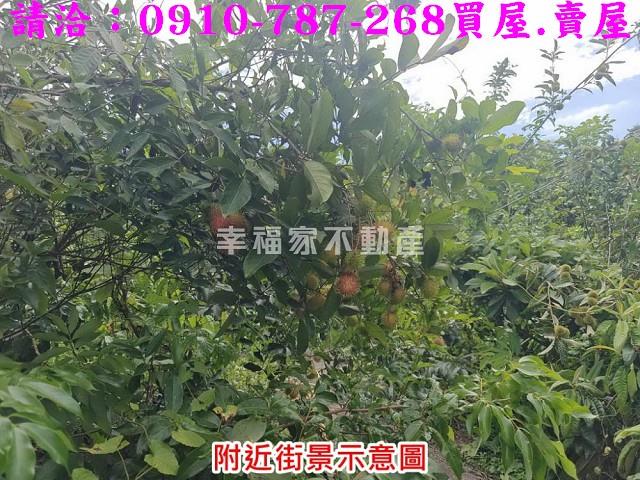 台南農地-14