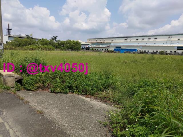 新市農地-1