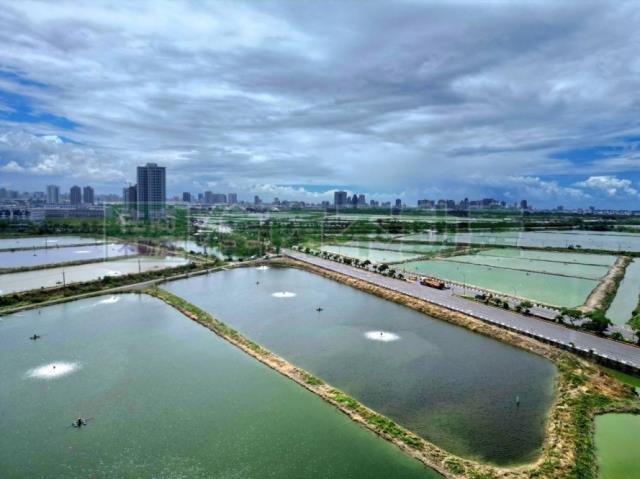 台南安南農地-2