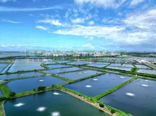 台南安南農地-5