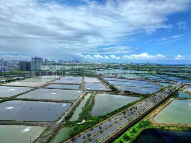 台南安南農地-6