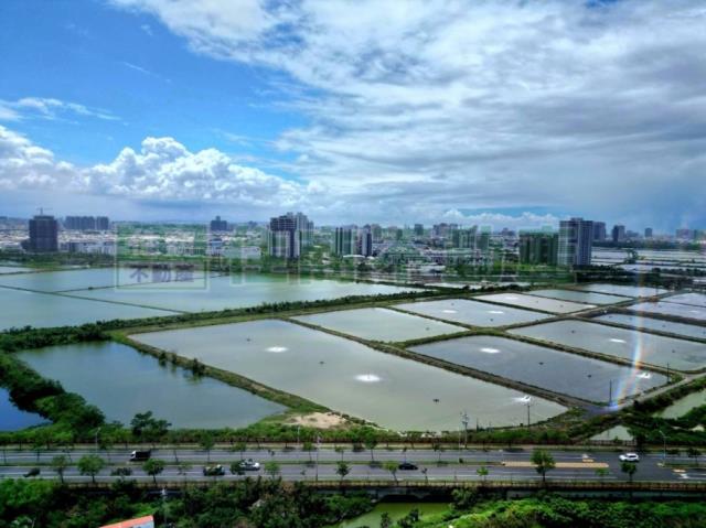 台南安南農地-7