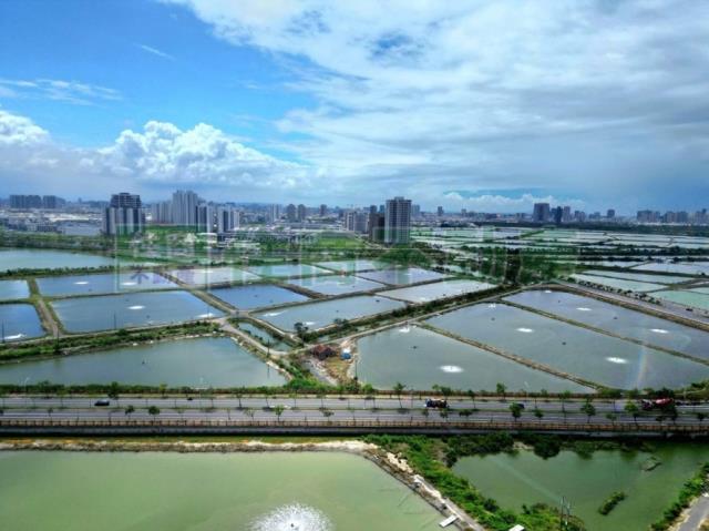 台南安南農地-8