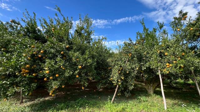 新竹縣峨嵋鄉農地農舍休閒地