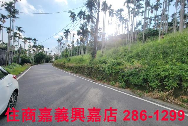 嘉義中埔農地-0