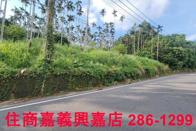 嘉義中埔農地-8