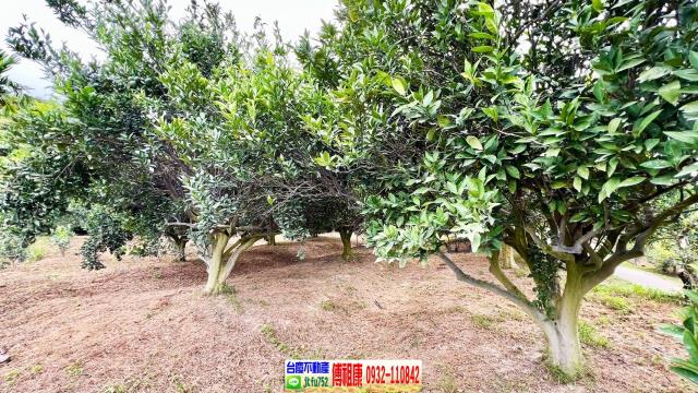 新竹峨眉農地-9