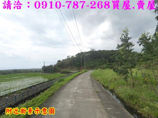 長濱農地-5