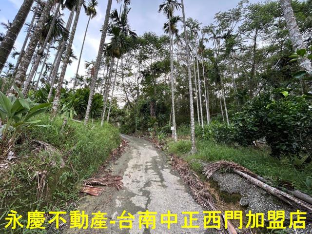 台南林地-13