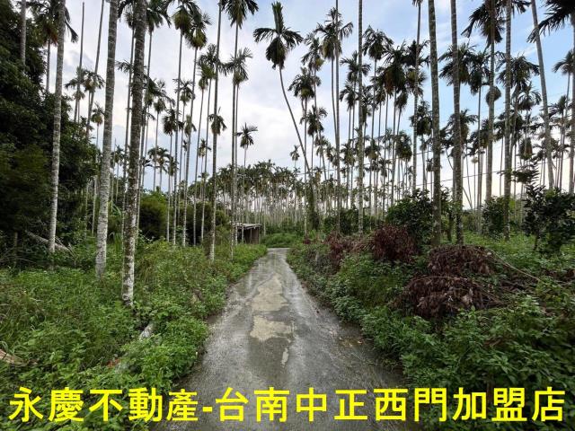 台南林地-0