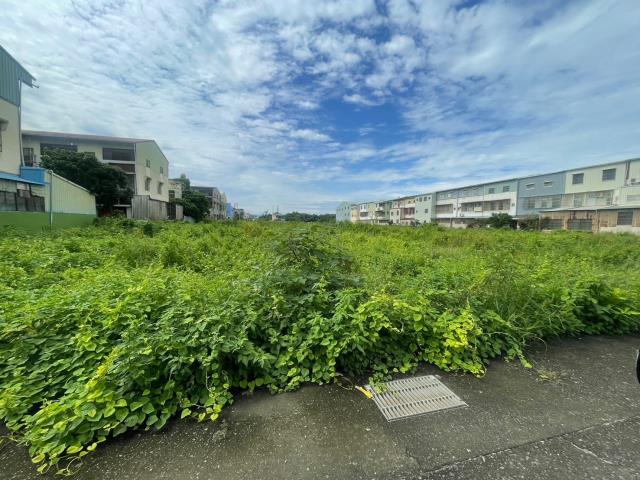 嘉義民雄農地-1