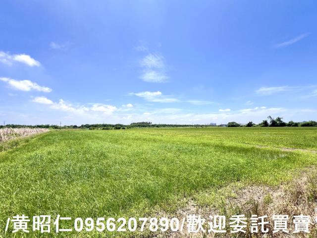 台南佳里農地-7