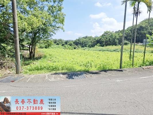 公館農地-3