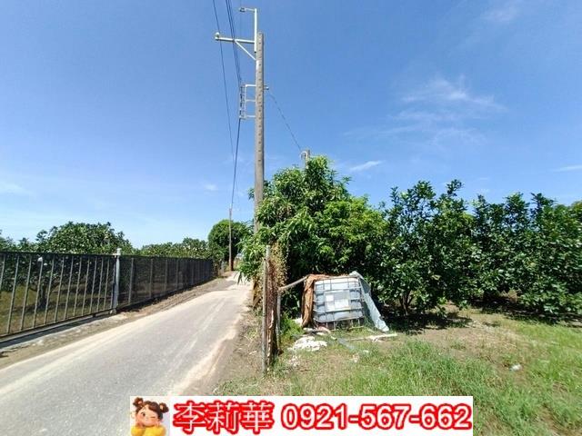 麻豆農地-1