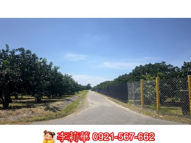 麻豆農地-3