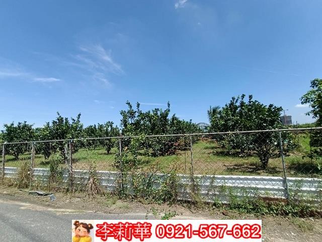麻豆農地-4