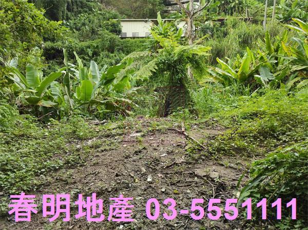 新竹農地-5