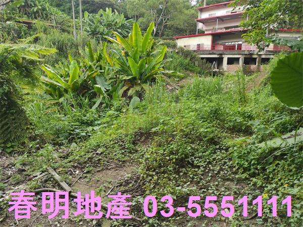 新竹農地-6