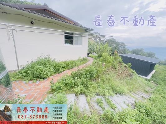 銅鑼農地-13