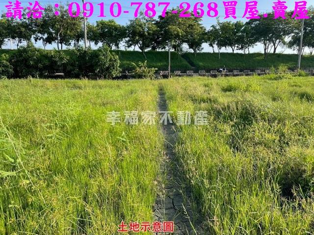台南農地-2
