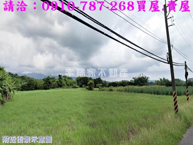 左鎮農地-4