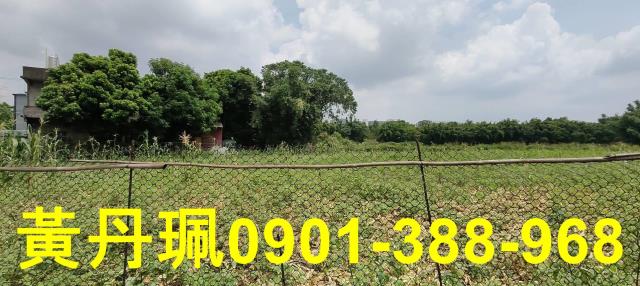 桃園八德農地-0