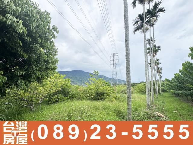 台東卑南農地-5