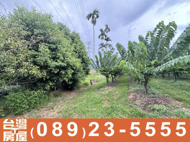 台東卑南農地-8