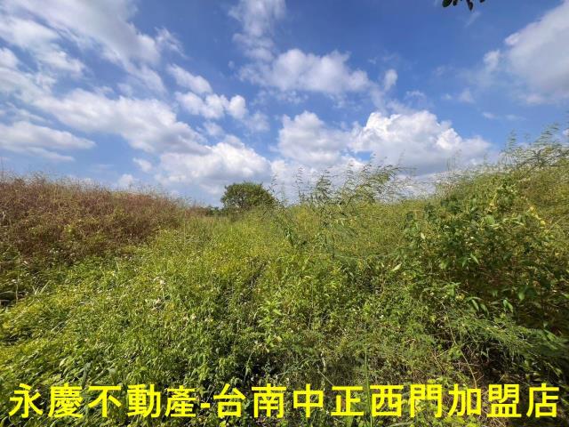 新市農地-1