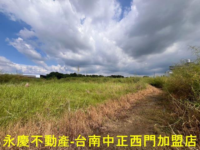 新市農地-2