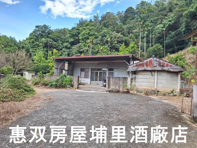 埔里建地-3