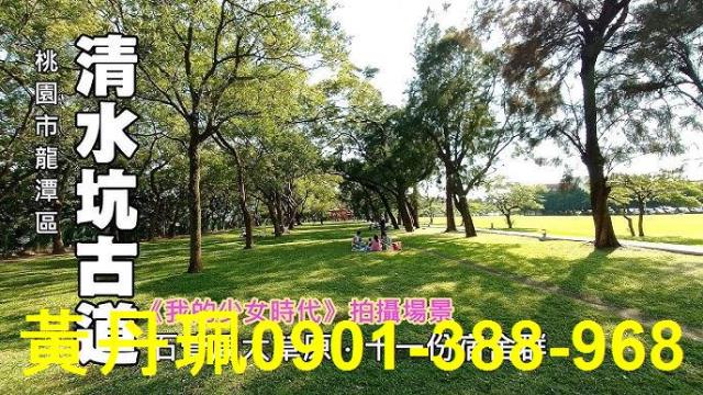 桃園龍潭農地-0