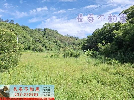 苗栗農地-0