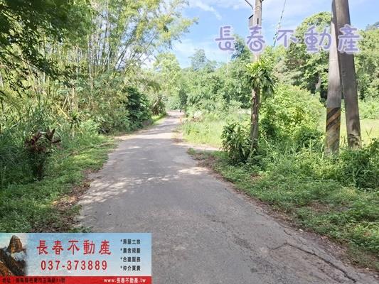 苗栗農地-5