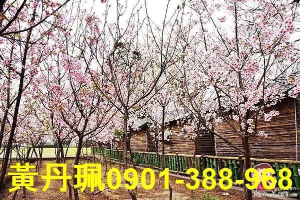 平鎮農地-1