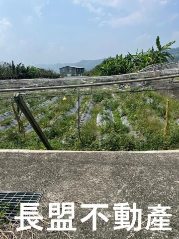 苗栗卓蘭農地-8