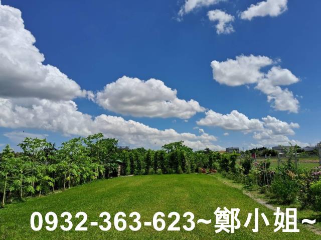 新屋農地-11