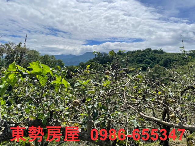東勢農地-4