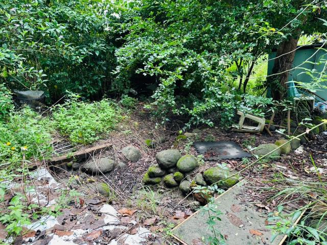 中埔農地-5