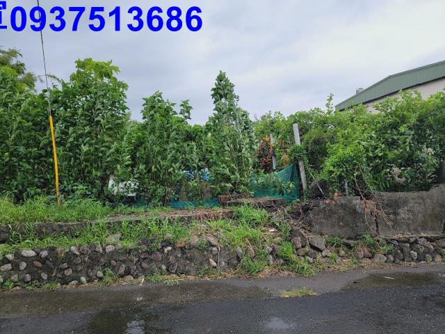 宜蘭壯圍農地-3