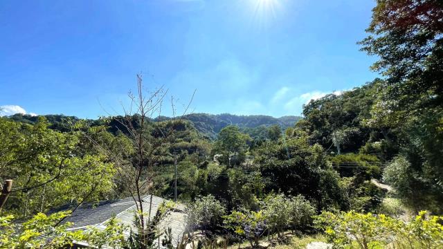 新竹關西山坡地-14