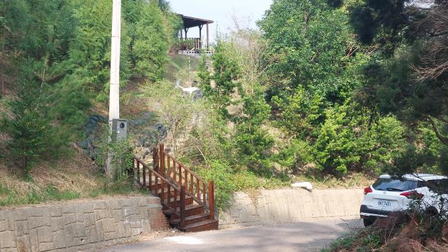 新竹關西山坡地-1